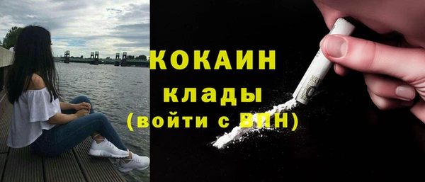 гидра Аркадак