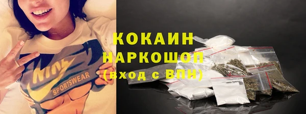 меф Арсеньев