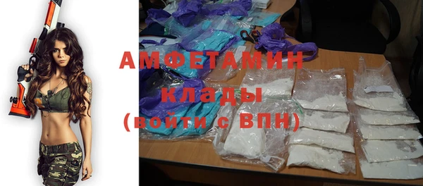 гидра Аркадак