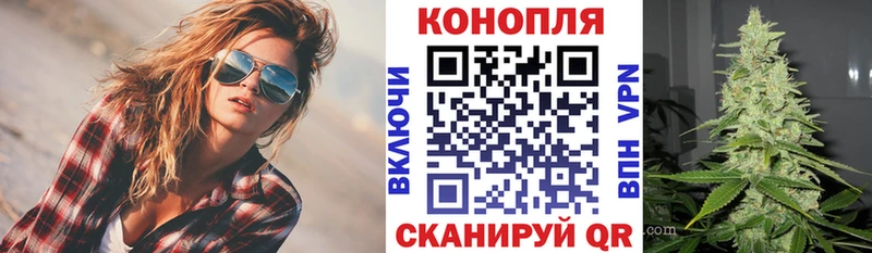 где можно купить   Сочи  Конопля гибрид 